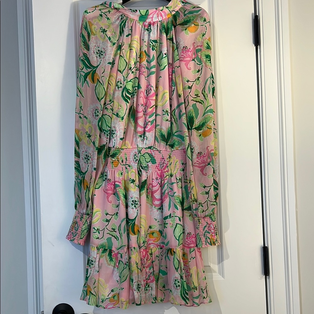 Lilly Pulitzer Ellielynn Pink Floral Dress - Picture 2 of 5